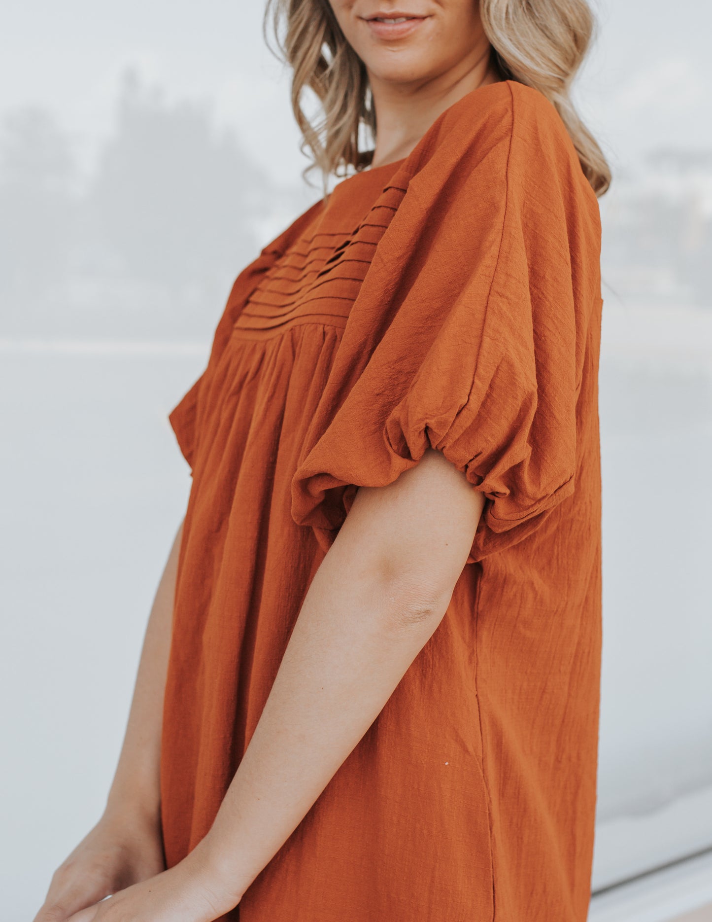 Rust Puff Sleeve Dress